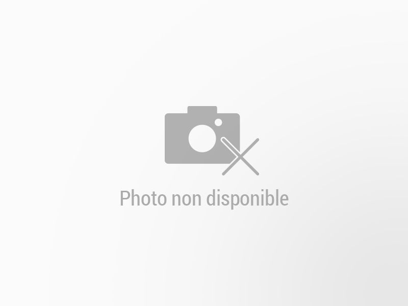 LEXUS NX d’occasion à vendre à AUBIÈRE