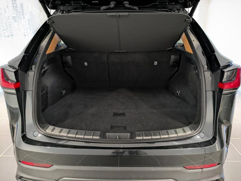 agency.seo.links.detann.title LEXUS NX d’occasion à vendre à AUBIÈRE chez ARVERNE (Photo 13)