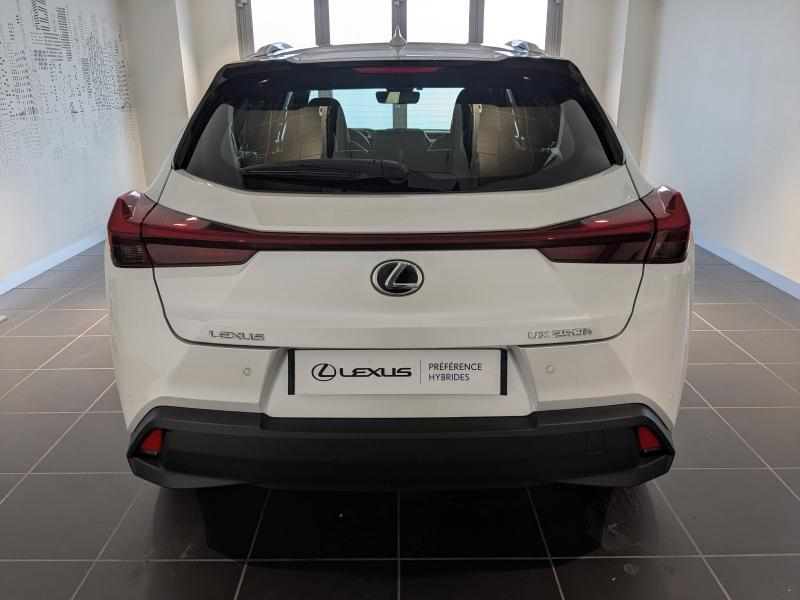LEXUS UX d’occasion à vendre à AUBIÈRE chez ARVERNE (Photo 14)
