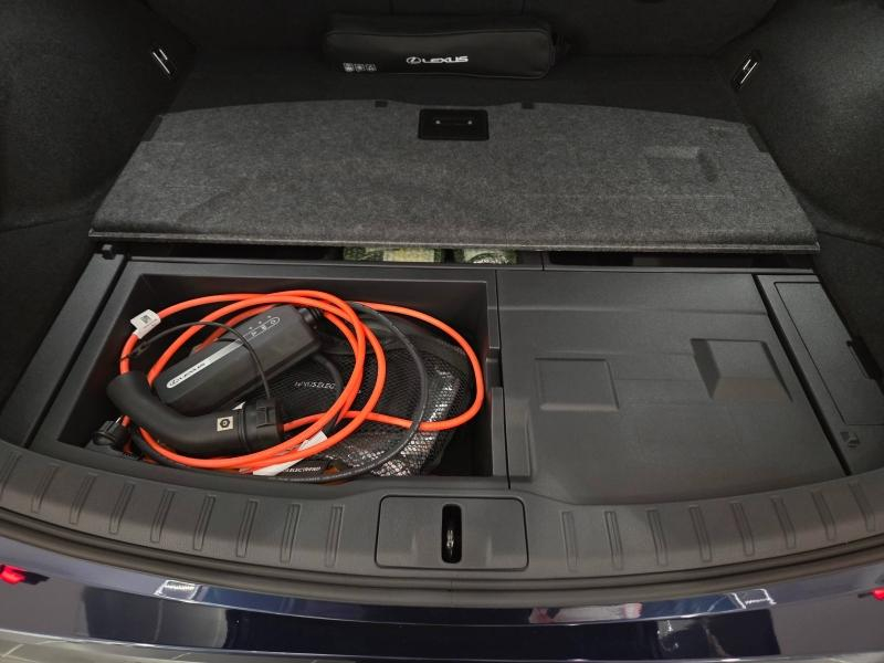 LEXUS RX d’occasion à vendre à AUBIÈRE chez ARVERNE (Photo 18)